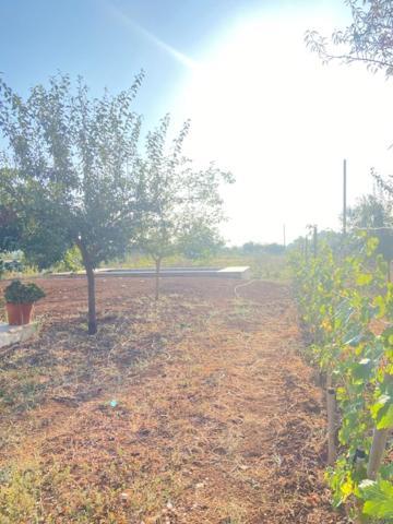 Holiday home Nidadi Trulli D'itria