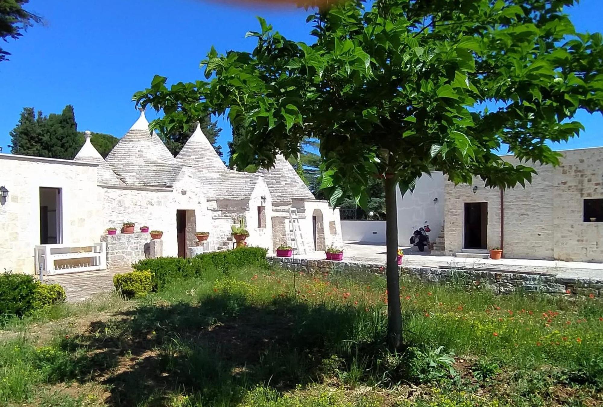 Nidadi Trulli D'itria Martina Franca